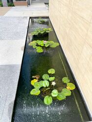 Perfect Ten (D10), Apartment #572569651